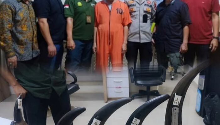 Vonis 4 Tahun Penjara Pelaku Perdagangan Cula Badak dan Gading Gajah di Palembang