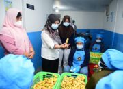 Sidak SPPG Ungkap Sejumlah Temuan, Wagub Minta Pengelola Tingkatkan Kepatuhan SOP