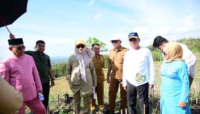 Pemprov Gorontalo Percepat Usulan Sekolah Garuda, Gorontalo Utara Siapkan Lahan 45 Hektare